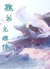 魏书元姬传