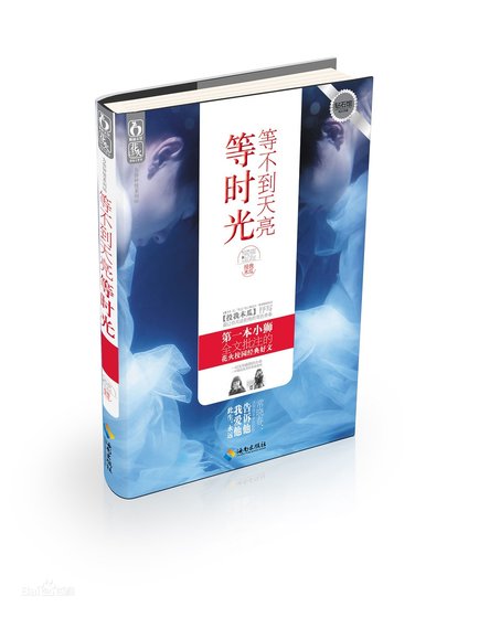 等不到天亮等时光（出书版）