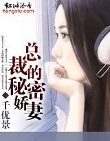 总裁的秘密娇妻