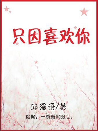 只因喜欢你