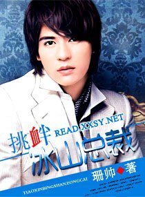 挑衅冰山总裁/挑衅冰山：与她纠缠