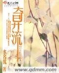 奇异流