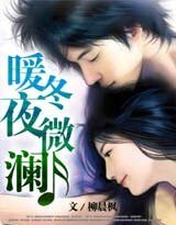 暖冬夜微澜：总裁的神秘情人