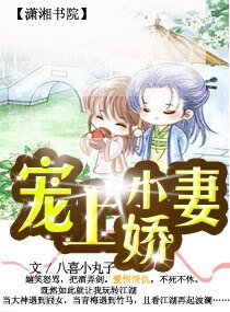 宠上小娇妻