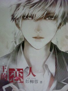 王的恋人（出书版）