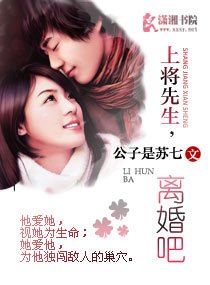 上将先生,离婚吧