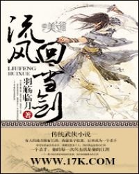 《流风回雪剑》