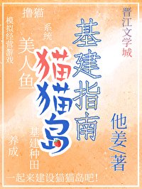 《猫猫岛基建指南》