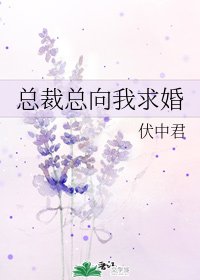 总裁总向我求婚