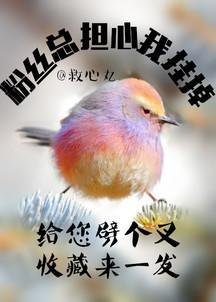 粉丝总担心我挂掉[娱乐圈]