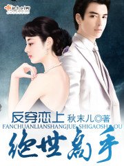 《反穿恋上绝世高手》