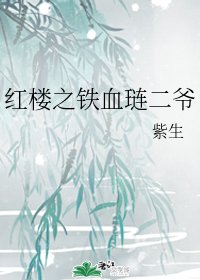 （红楼同人）红楼之铁血琏二爷