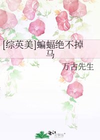 （综影视同人）[综英美]蝙蝠绝不掉马