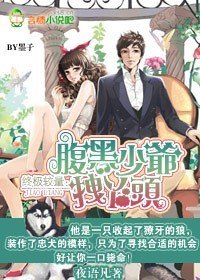 终极较量：腹黑少爷拽丫头