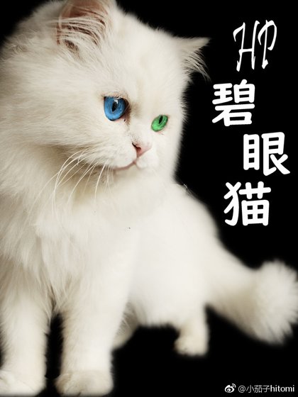 （BG/HP同人）HP 马尔福小姐有一双绿眼睛