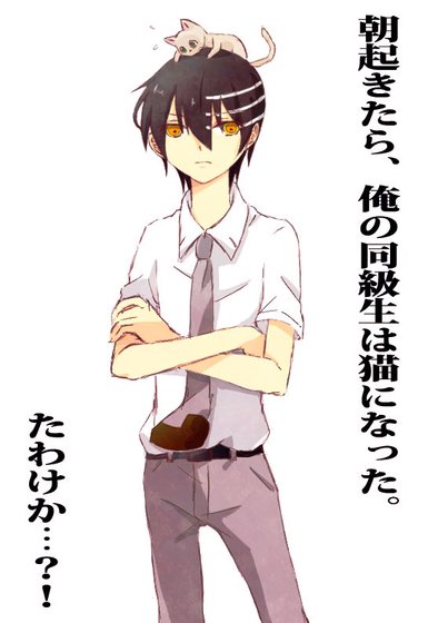 （噬魂师同人）早上醒来我的同学变成了猫