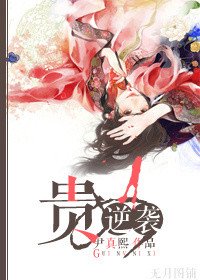 贵女进击攻略