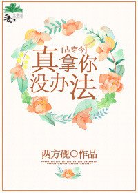 真拿你没办法