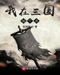 《我在三国加个点》