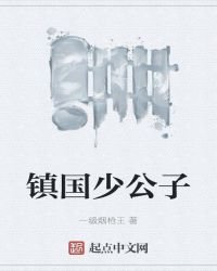 镇国少公子
