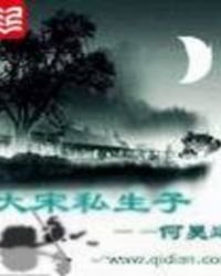 《大宋私生子》