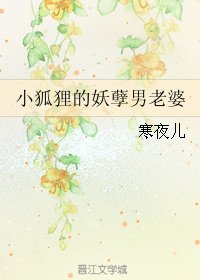小狐狸的妖孽男老婆