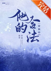 他的合法审核中