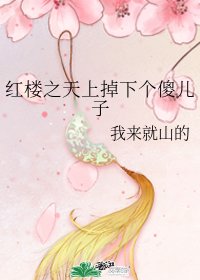 （红楼梦同人）红楼之天上掉下个傻儿子