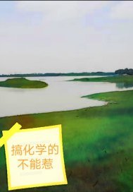 《搞化学的不能惹》