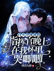 《白天冷冰冰的指挥官晚上在我怀里哭唧唧》