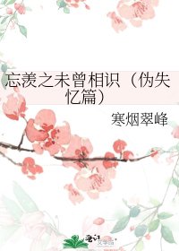 （魔道祖师同人）忘羡之未曾相识（伪失忆篇）