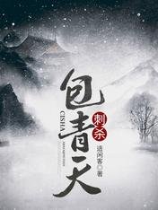 刺杀包青天