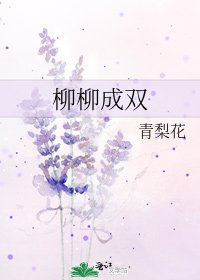 柳柳成双