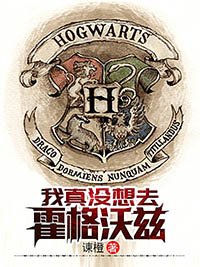 《我真没想去霍格沃兹》