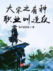 《大宋之有种职业叫造反》