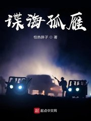 《谍海孤雁》