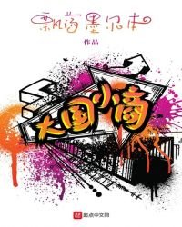 《大国小商》