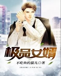 《极品女婿》