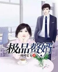 《极品赘婿》