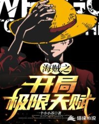《海贼之开局极限天赋》