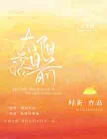 太阳落日前