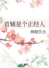 首辅是个正经人