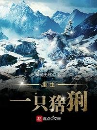 《重生一只猞猁》
