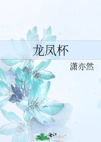 龙凤杯