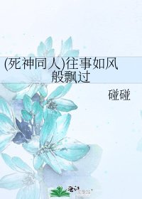 (死神同人)往事如风般飘过