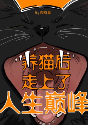 《养猫后走上了人生巅峰》