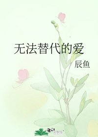 《无法替代的爱》