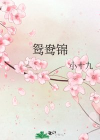 《鸳鸯锦》