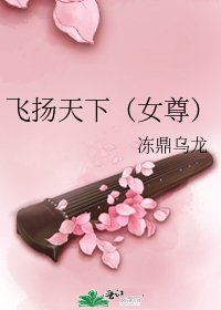 飞扬天下（女尊）