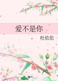 《爱不是你》